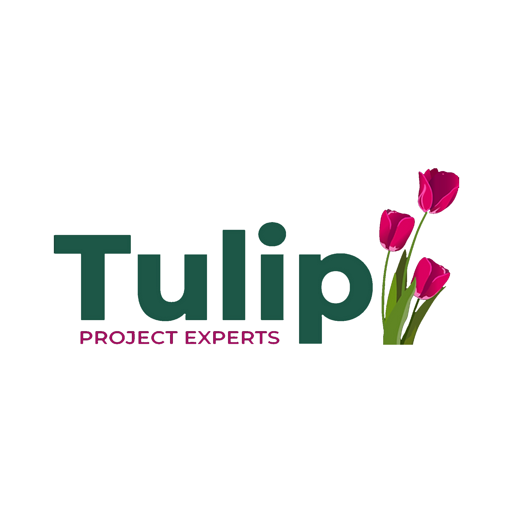 Tulip VRS Consult